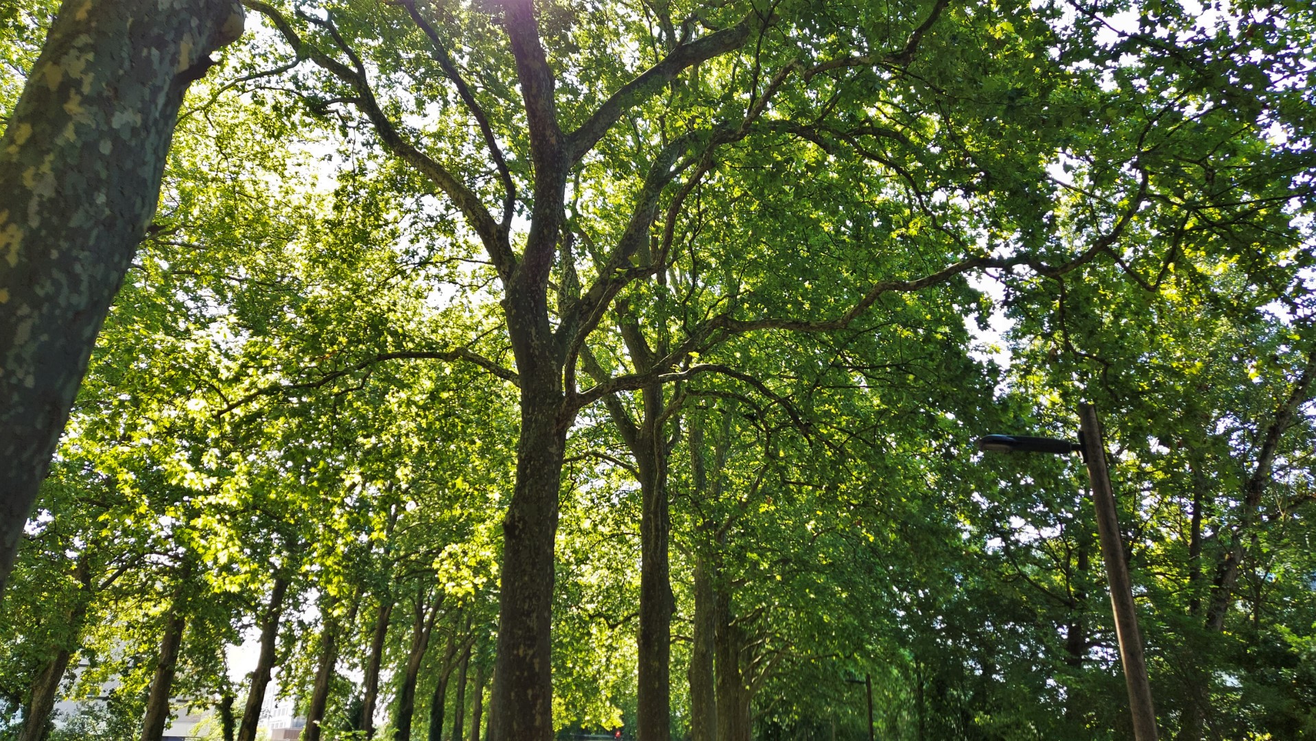 20210912_124932 (Grand)