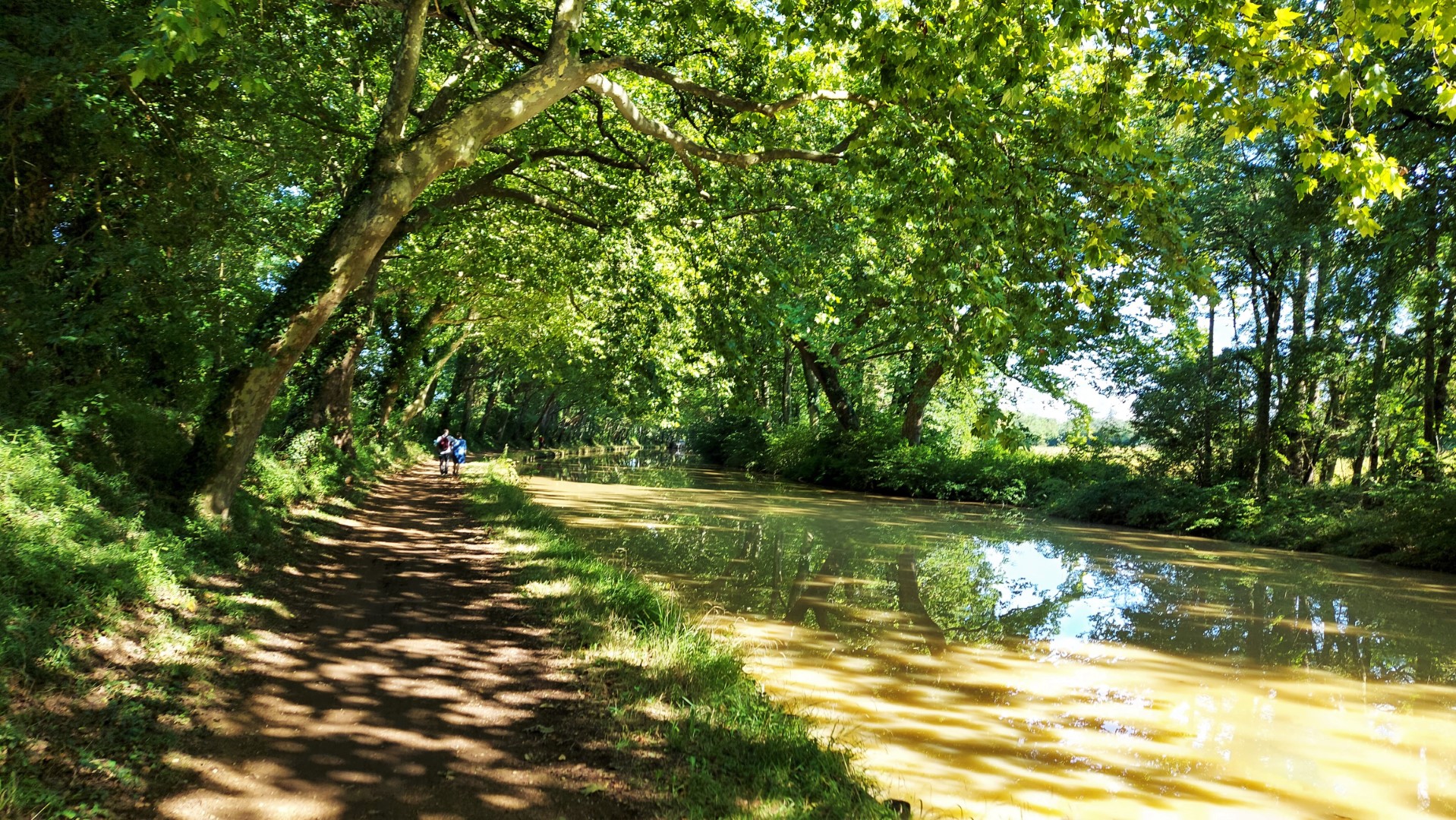 20210912_163056 (Grand)