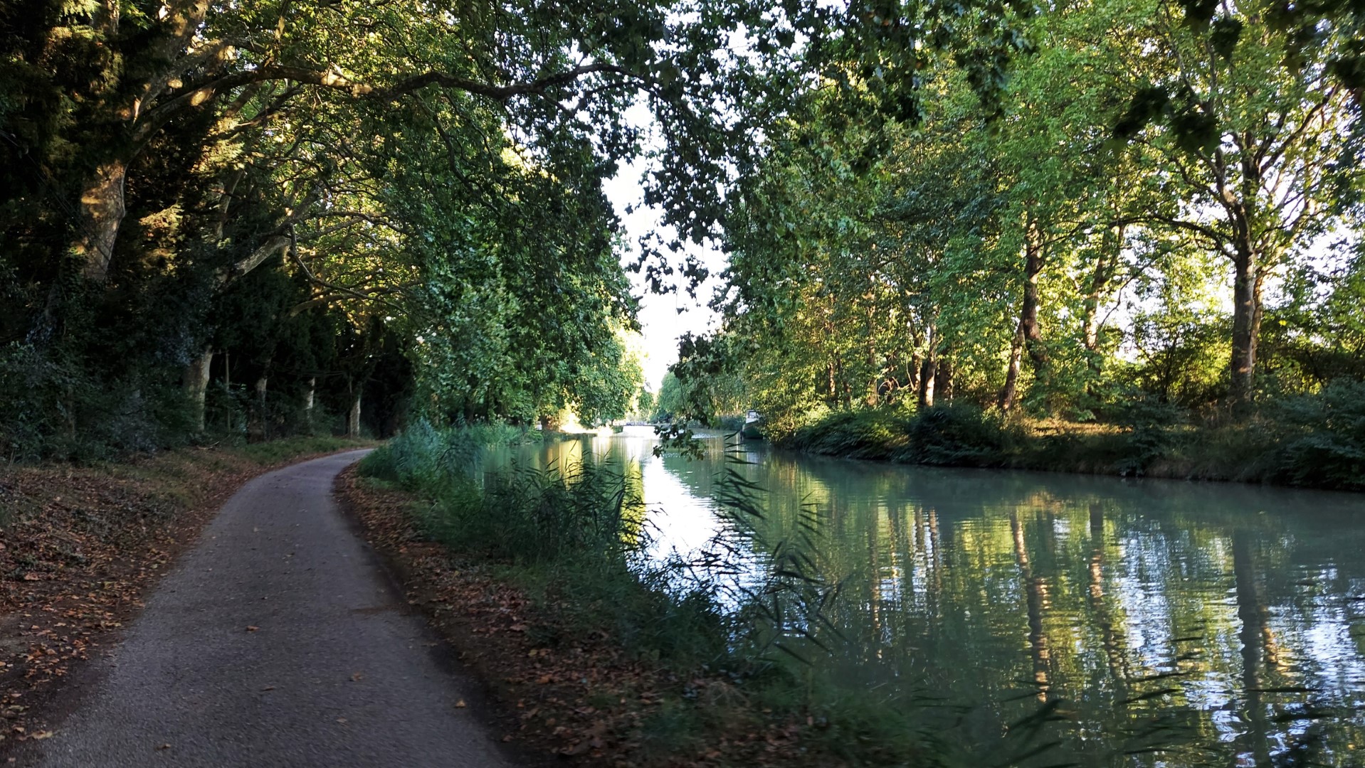 20210912_184343 (Grand)