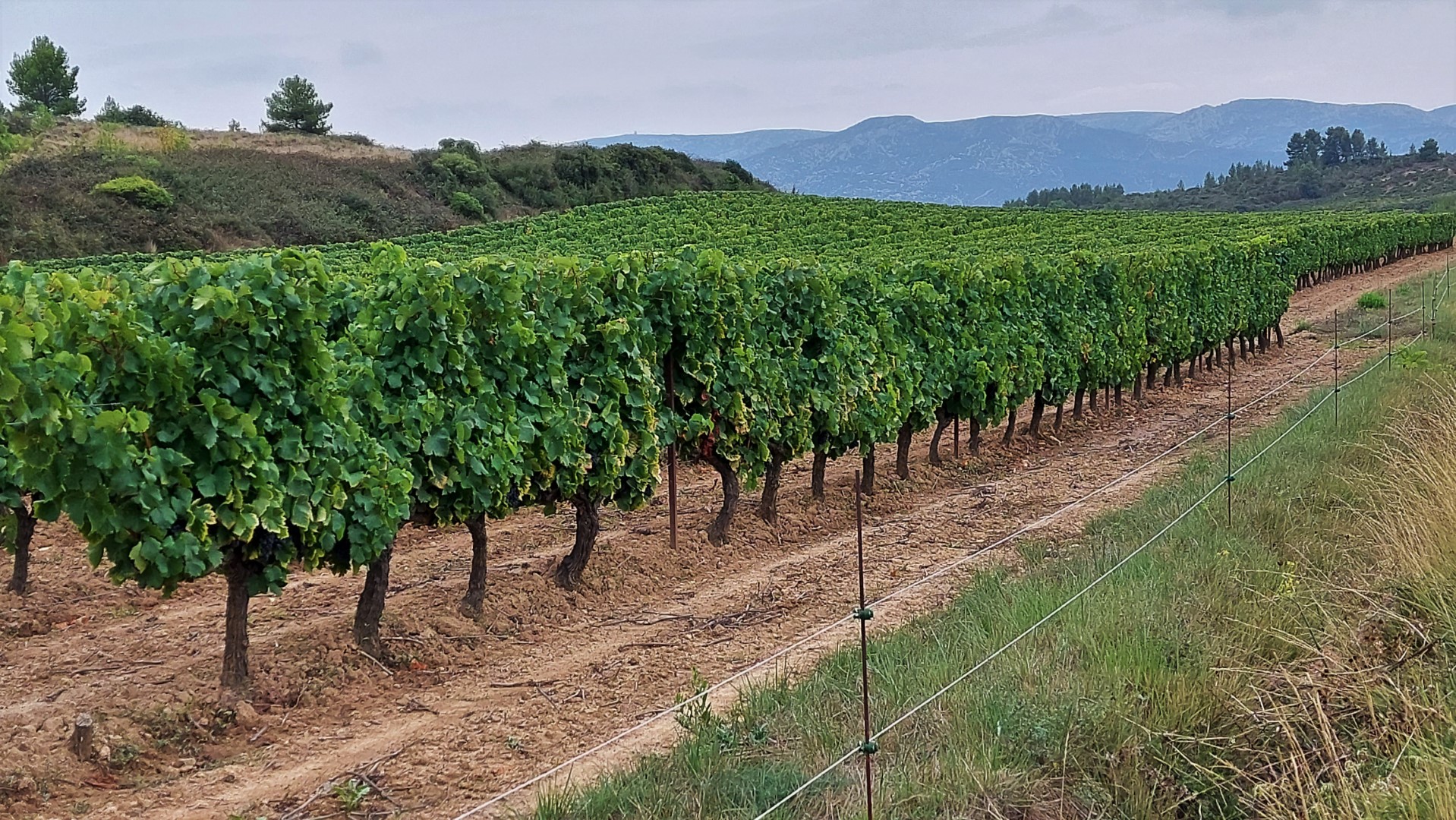 20210914_144545 (Grand)