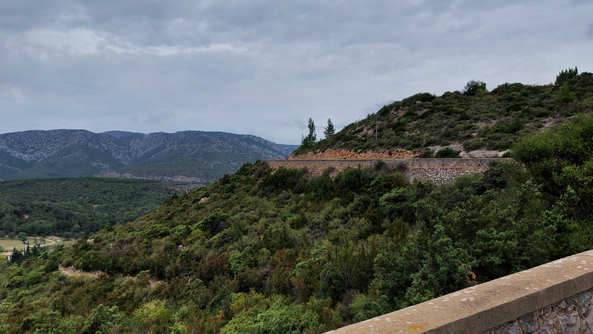 20210914_155035 (Grand)