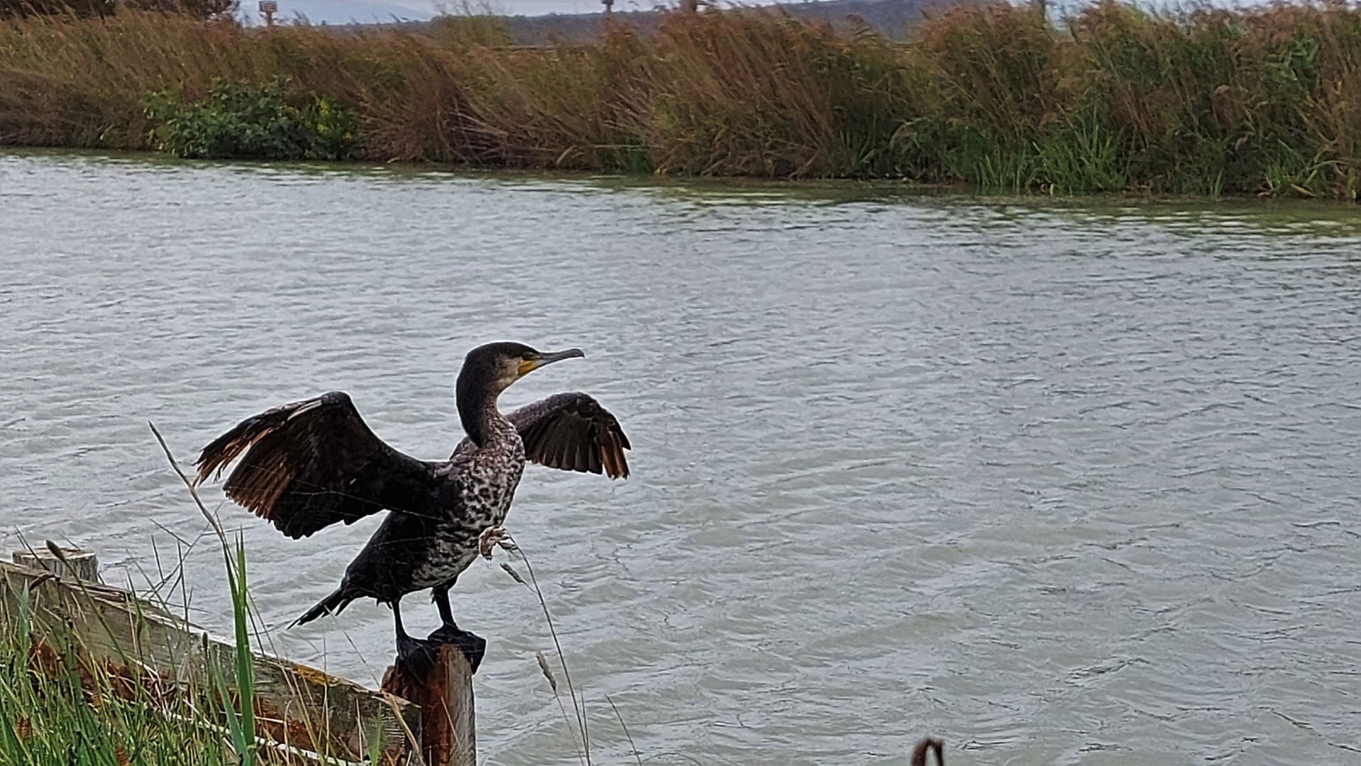 20210915_134735 (Grand)