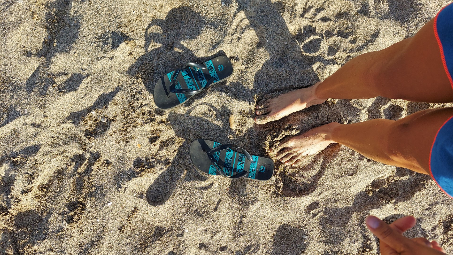 20210916_181033 (Grand)