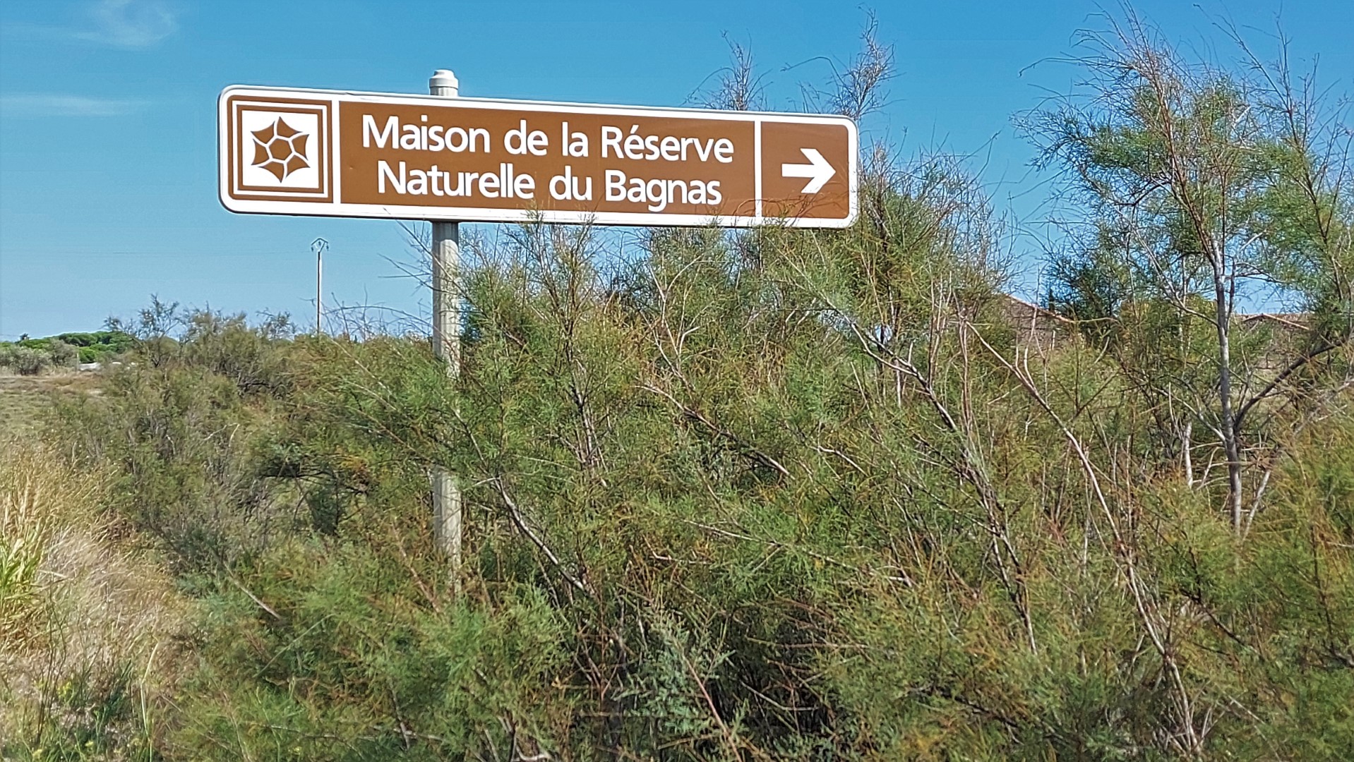 20210917_150719 (Grand)