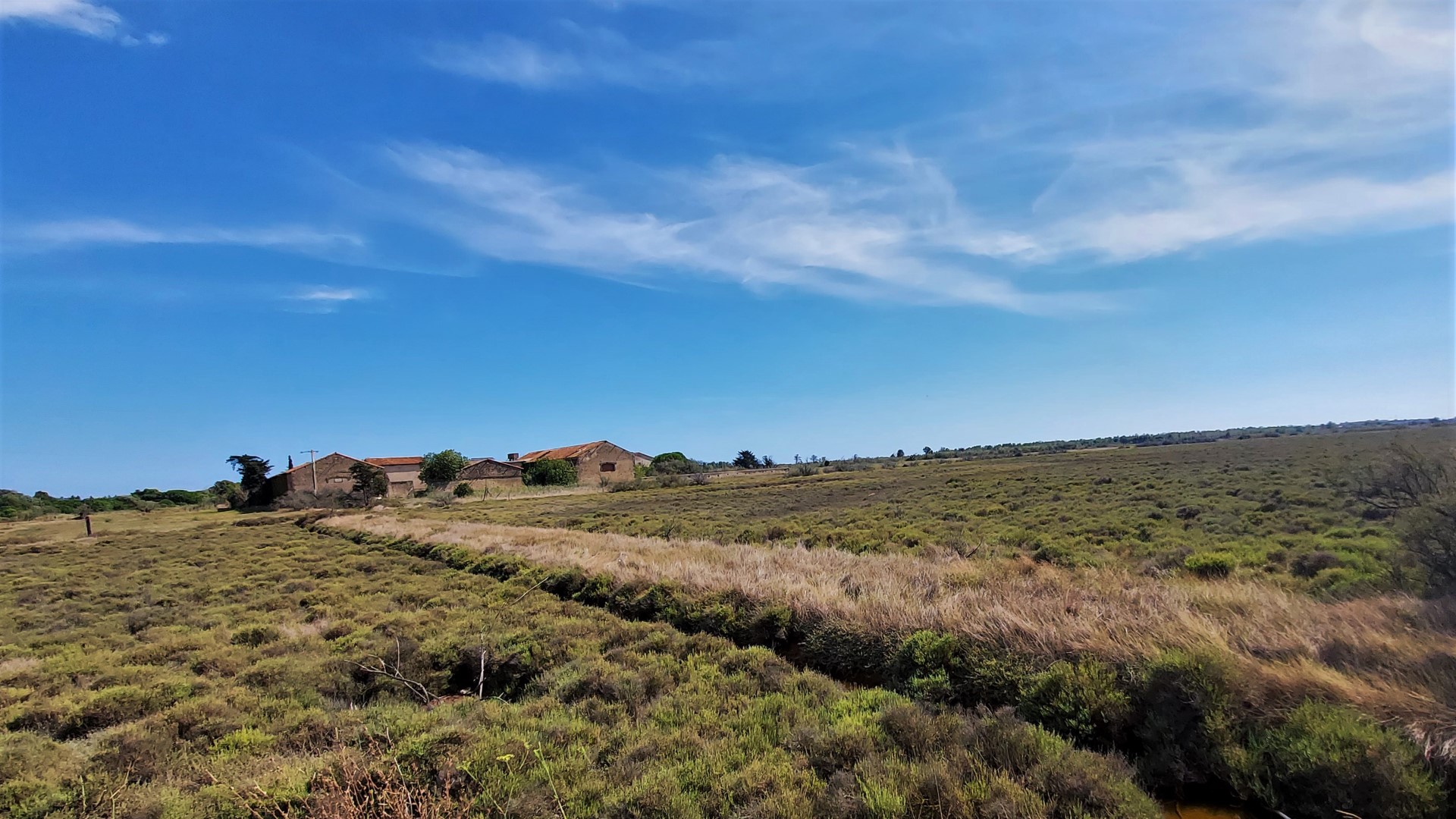 20210917_150728 (Grand)