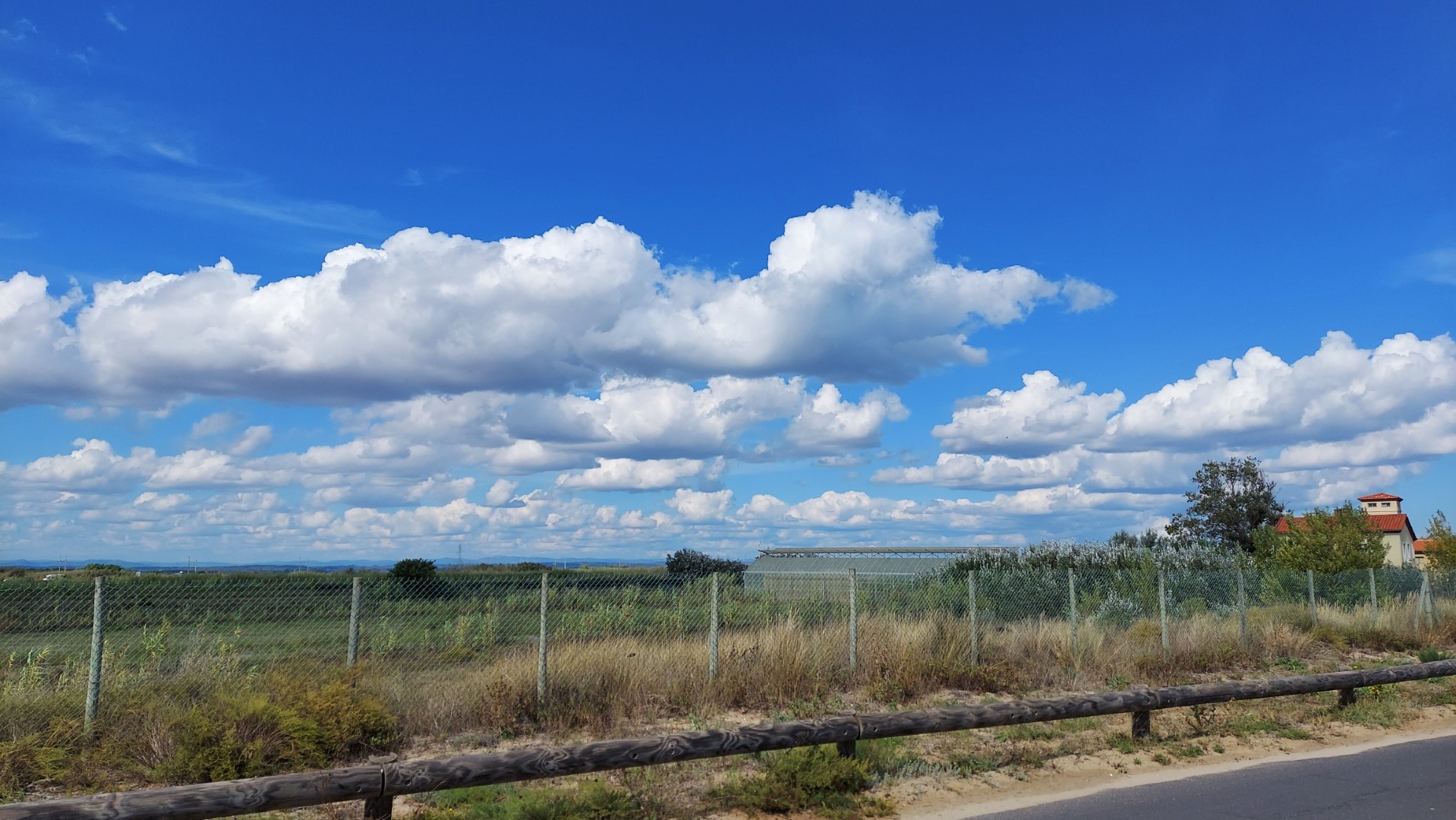 20210917_151835 (Grand)