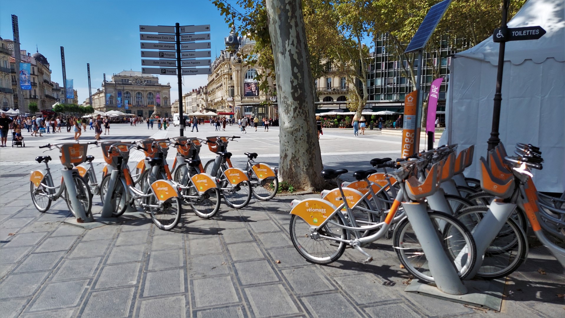 20210918_125500 (Grand)