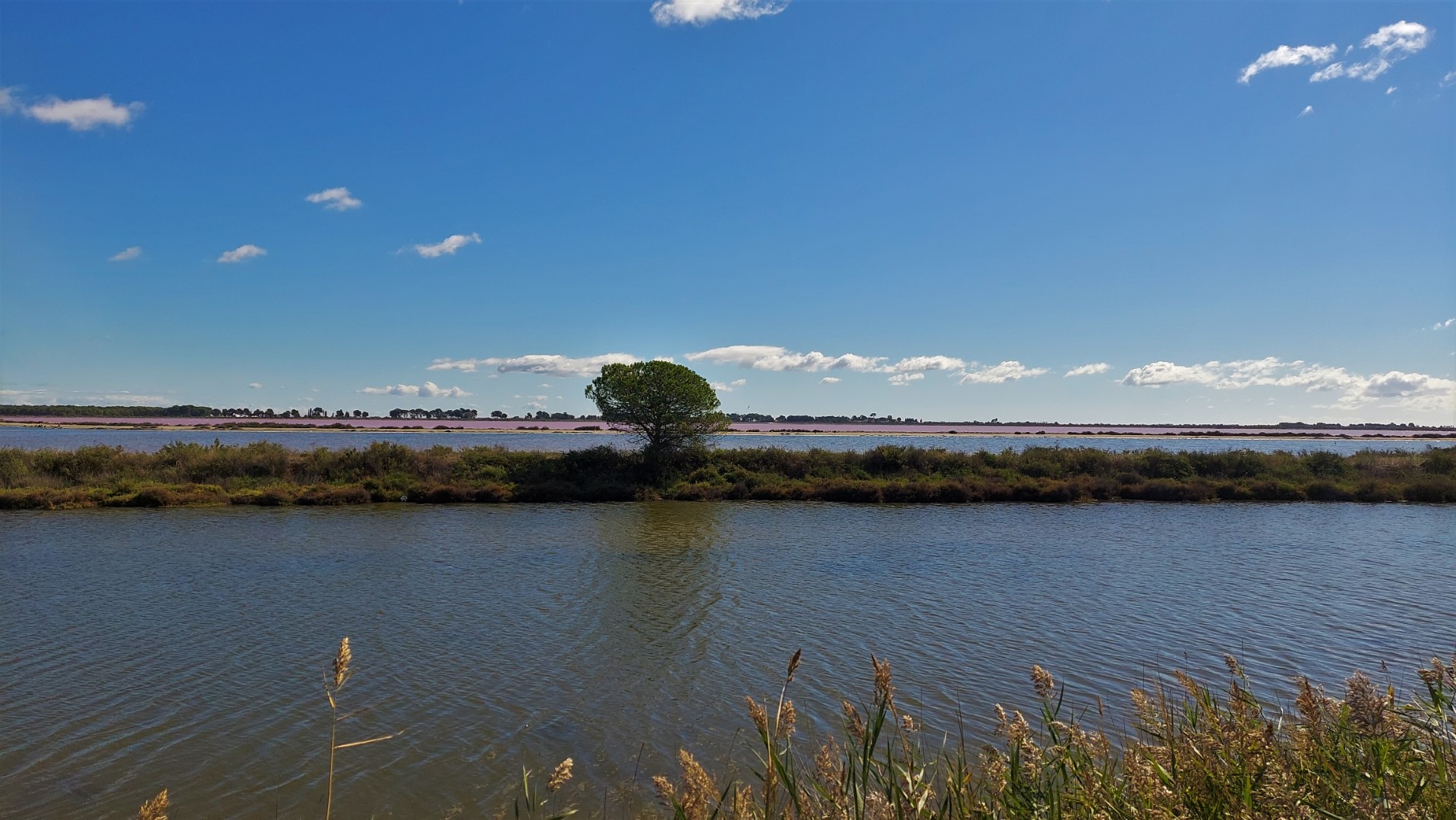 20210919_113737 (Grand)