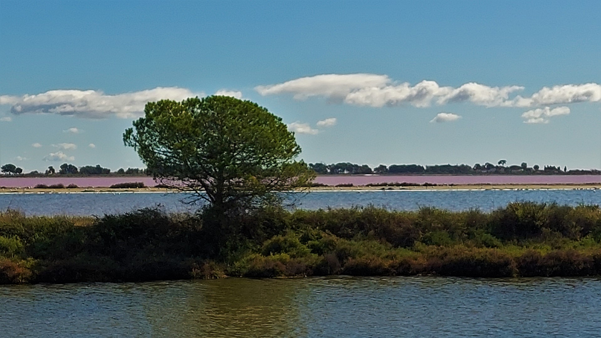 20210919_113745 (Grand)