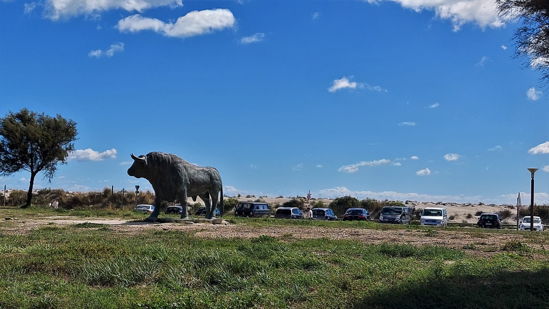 20210919_135401(0) (Grand)