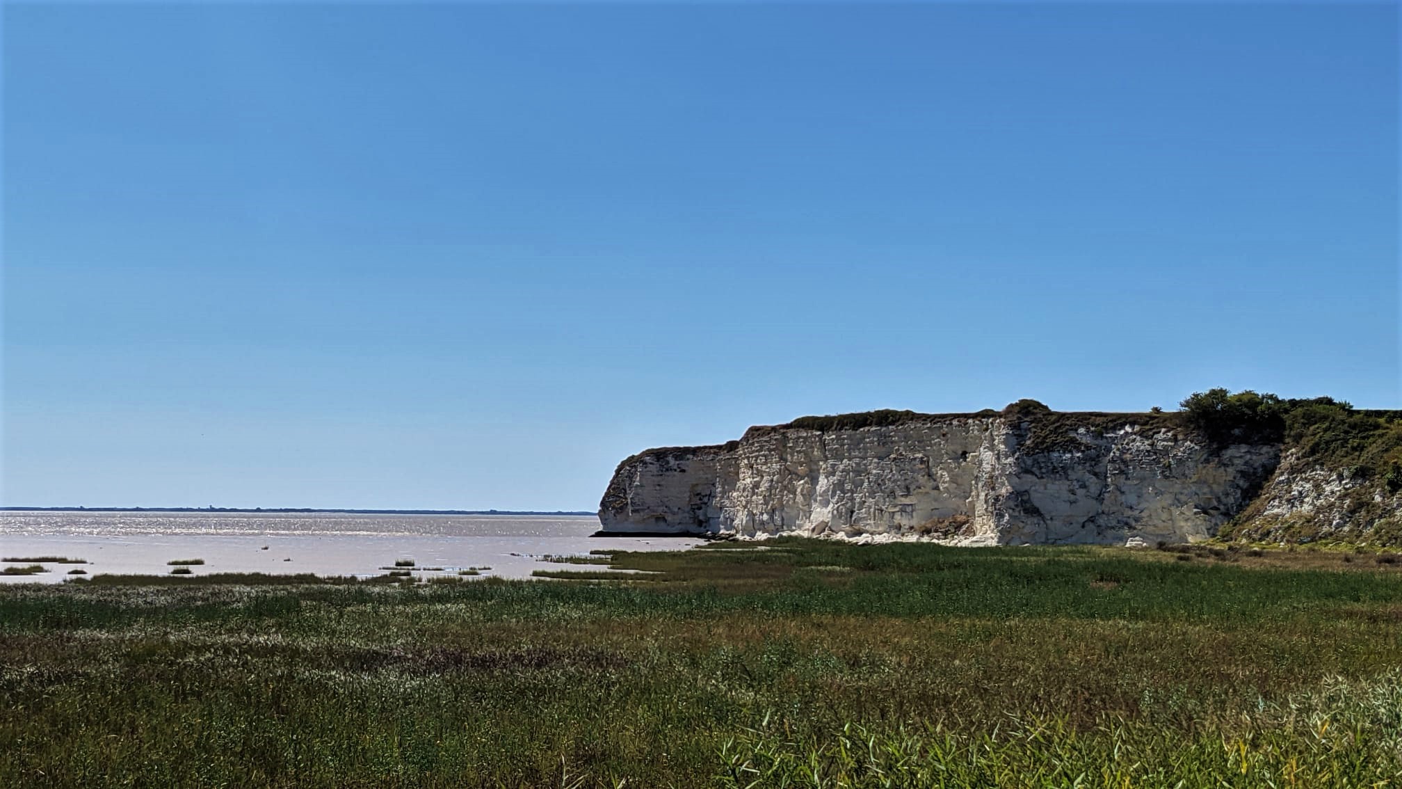 WhatsApp Image 2021-09-02 at 15.19.45 (3)