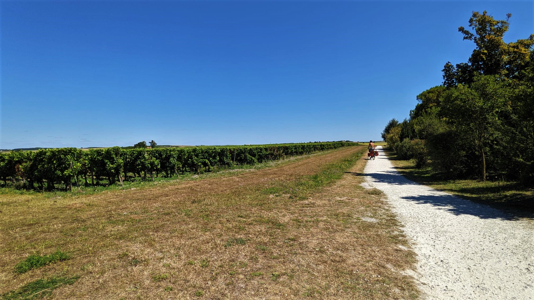 WhatsApp Image 2021-09-02 at 15.19.46