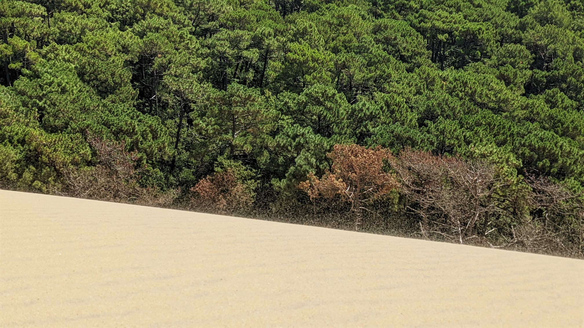 WhatsApp Image 2021-09-03 at 12.53.14 (3)