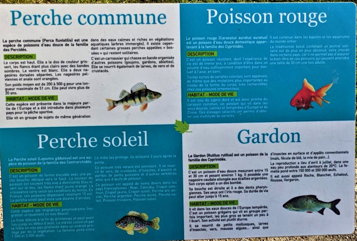 WhatsApp Image 2021-09-09 at 09.06.44 (2)