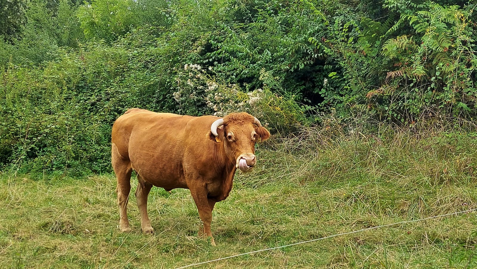 WhatsApp Image 2021-09-09 at 11.21.00 (1)