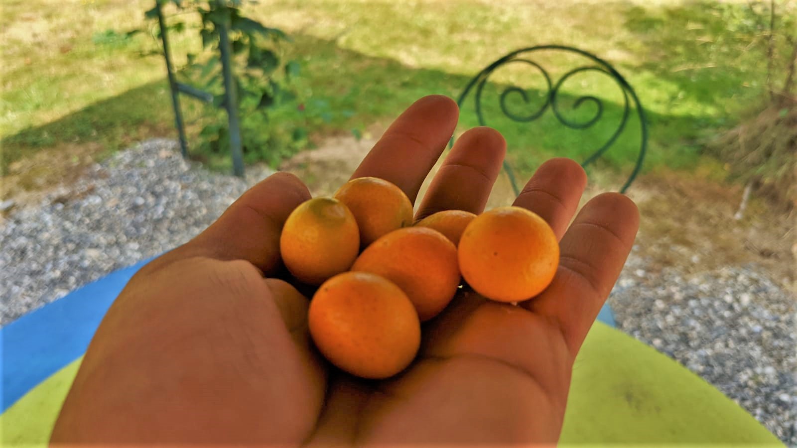 WhatsApp Image 2021-09-16 at 09.41.45