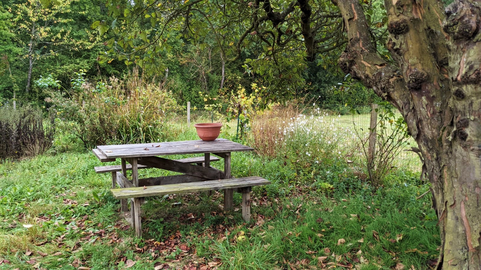 WhatsApp Image 2021-09-16 at 09.42.27 (3)