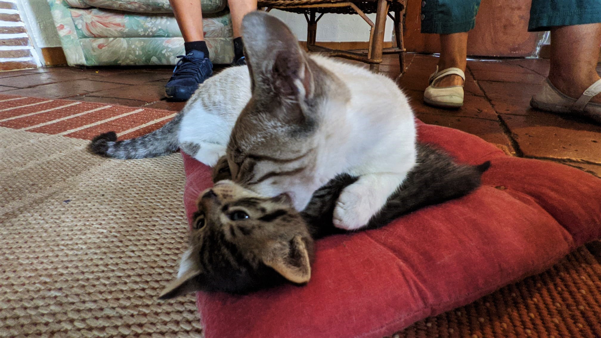 WhatsApp Image 2021-09-16 at 16.14.59 (2)