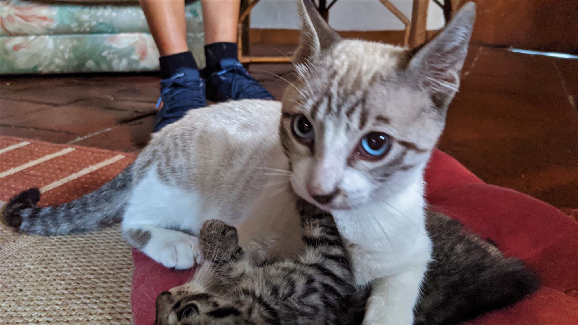 WhatsApp Image 2021-09-16 at 16.14.59 (5)