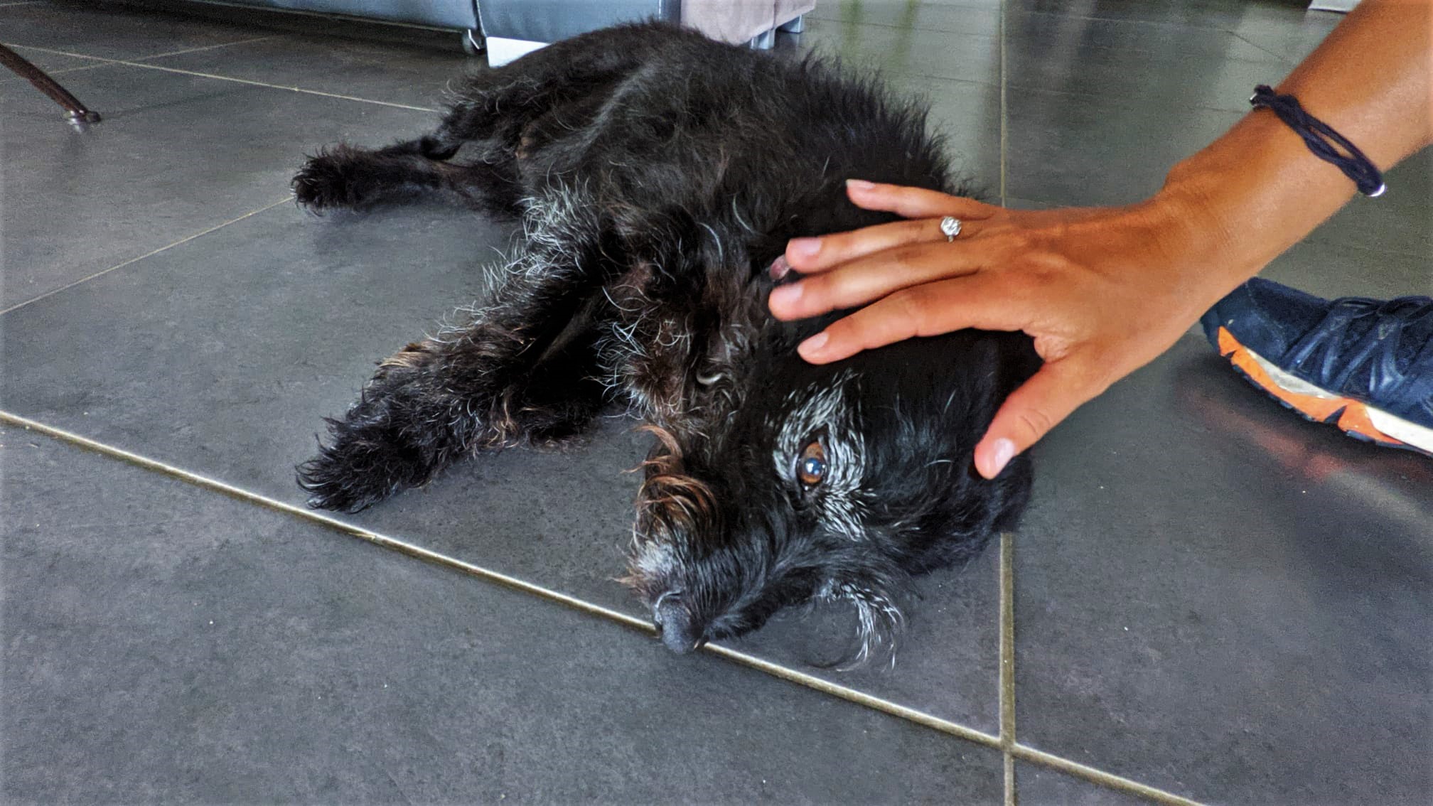 WhatsApp Image 2021-09-16 at 16.14.59