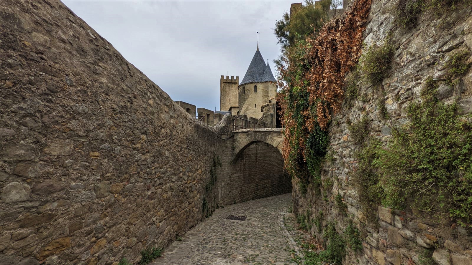 WhatsApp Image 2021-09-17 at 22.24.49 (1)