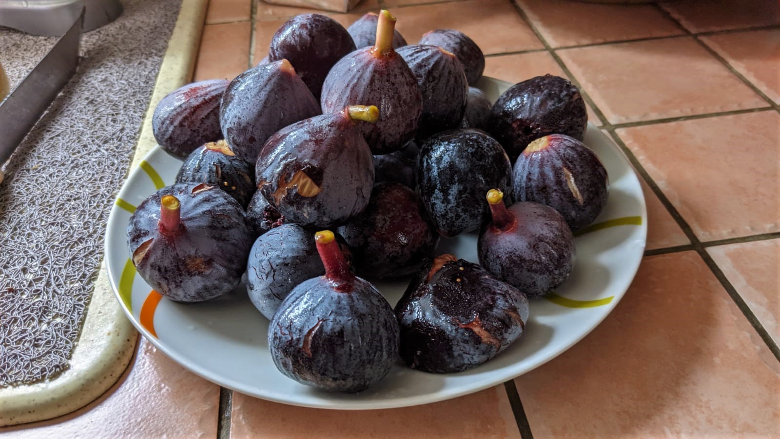 WhatsApp Image 2021-09-17 at 22.24.50 (2)