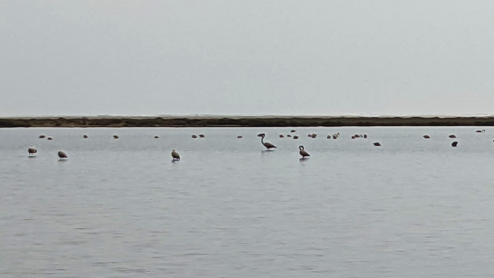 WhatsApp Image 2021-09-21 at 09.01.21 (1)