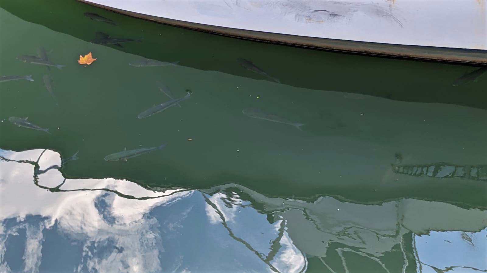 WhatsApp Image 2021-09-21 at 10.59.01 (1)