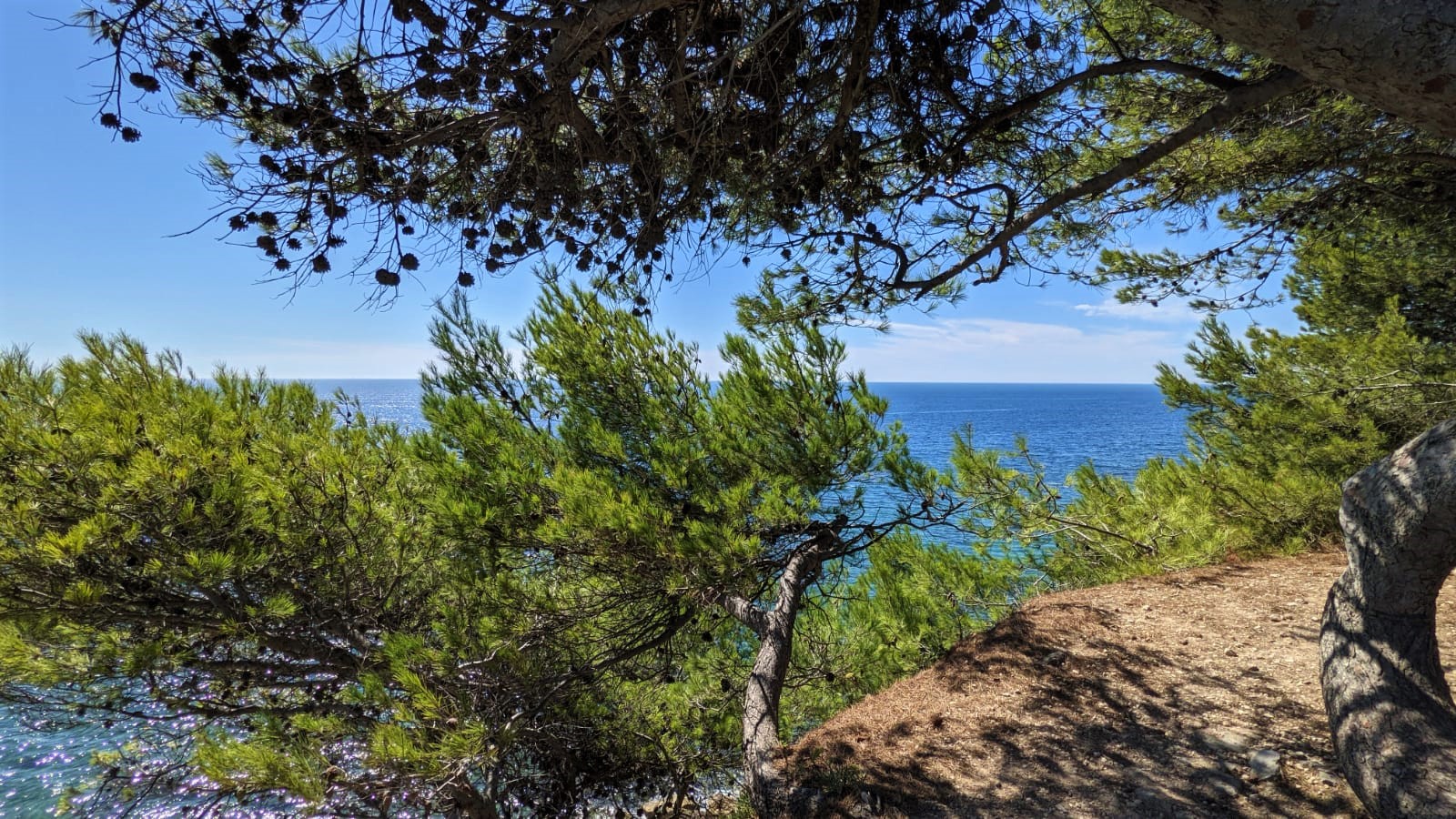 WhatsApp Image 2021-09-22 at 18.54.48 (1)