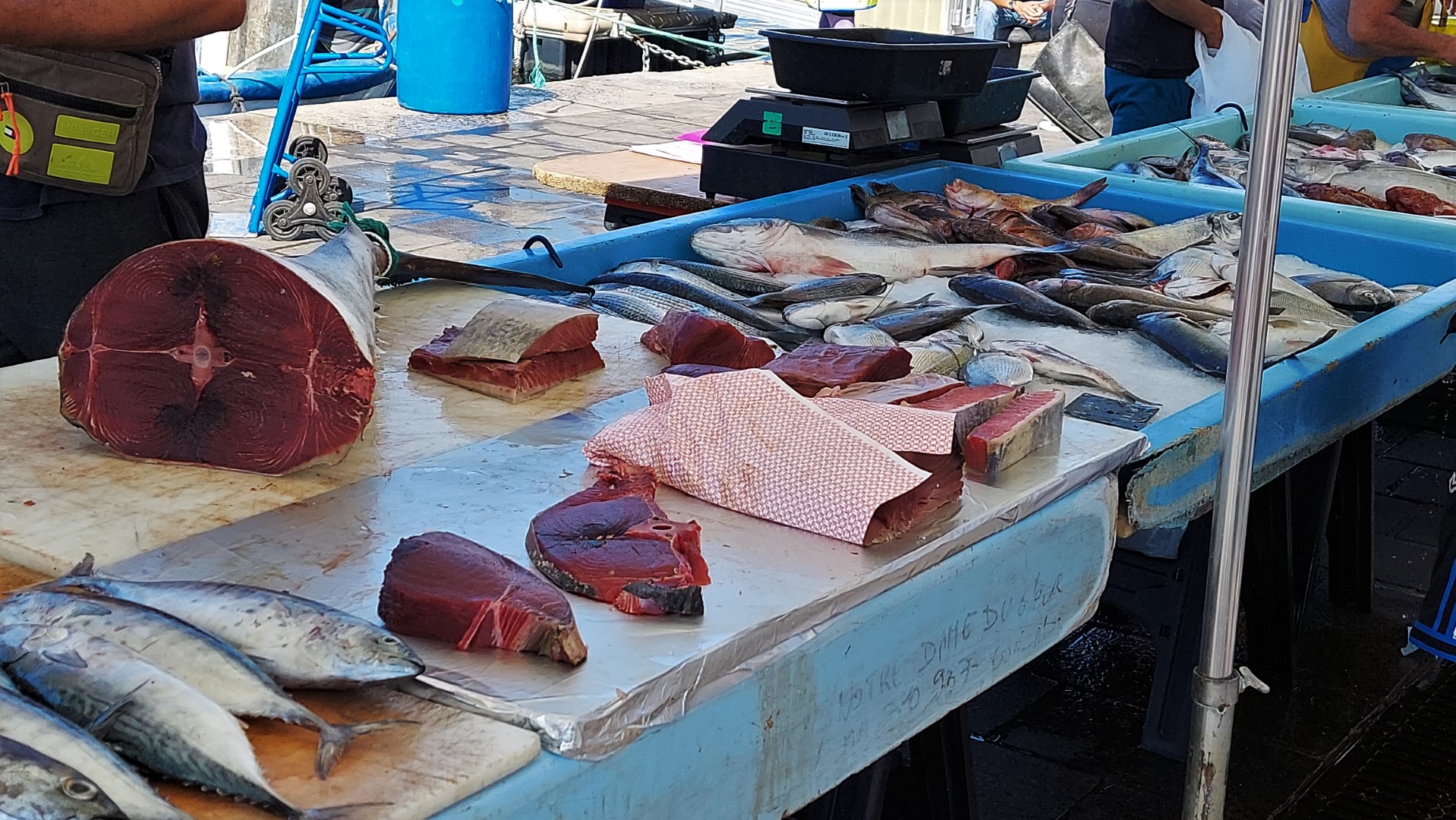 20210923_120505 (Grand)