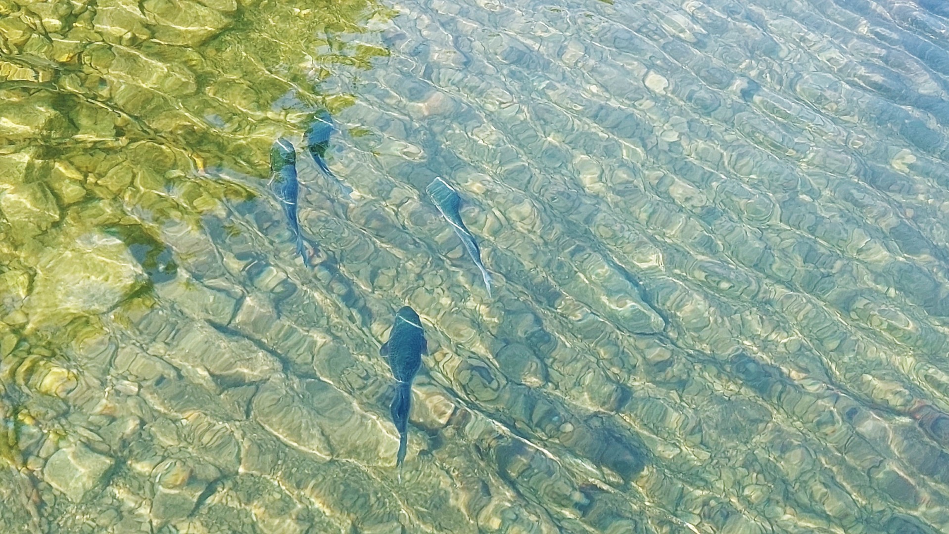 20210923_163651 (Grand)