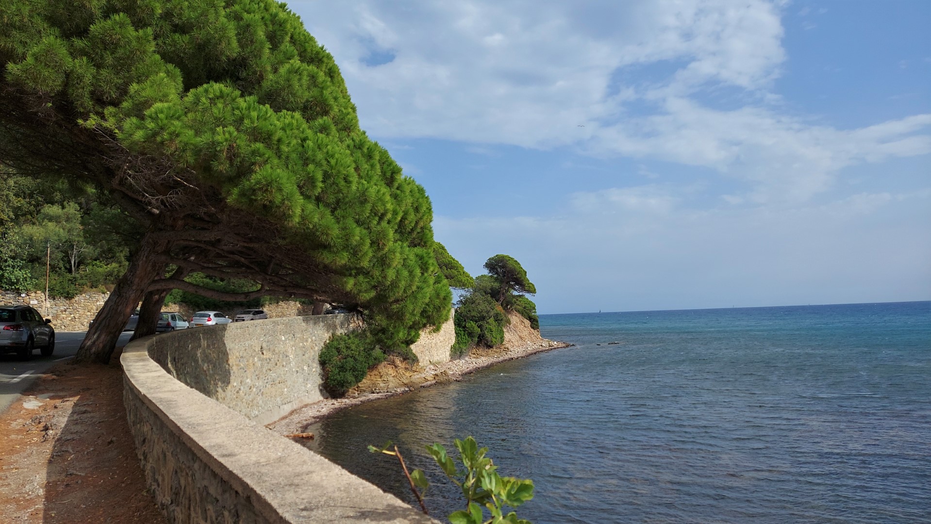 20210925_153857 (Grand)