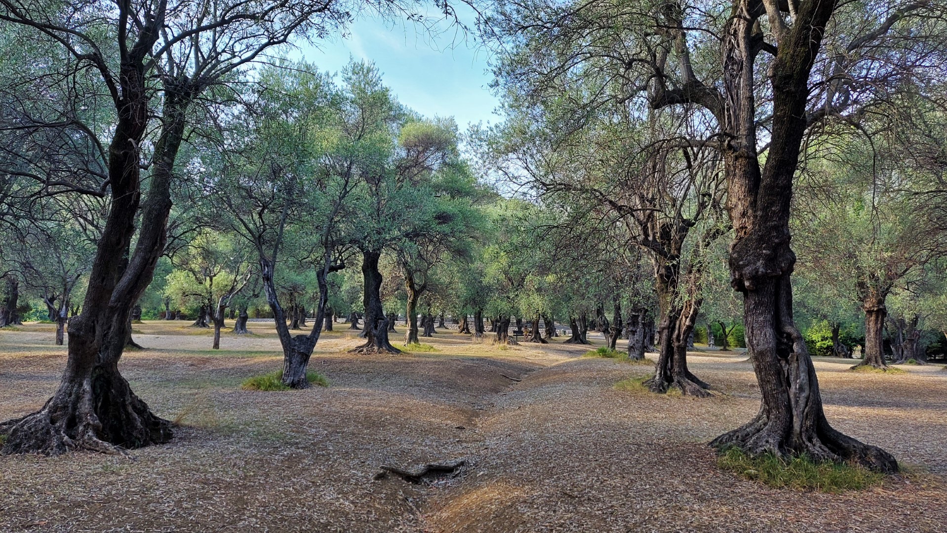 20210928_162953 (Grand)