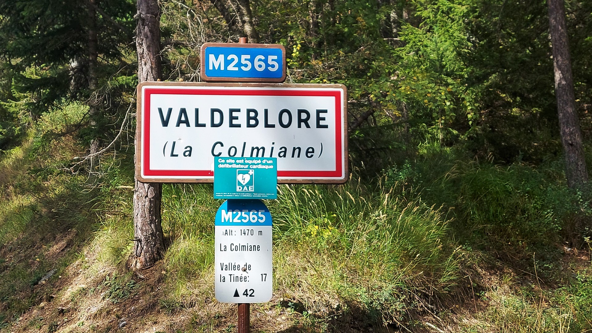 20211003_113525(0) (Grand)