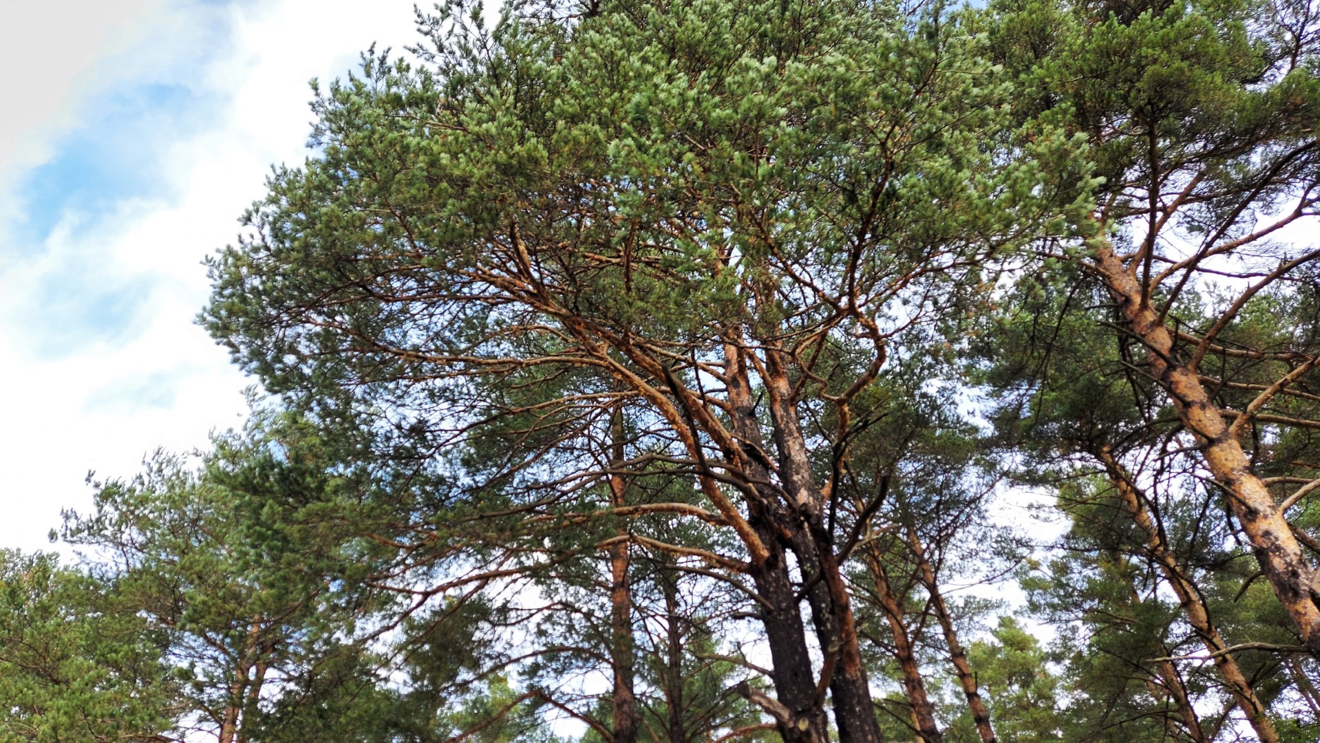 20211005_105538 (Grand)