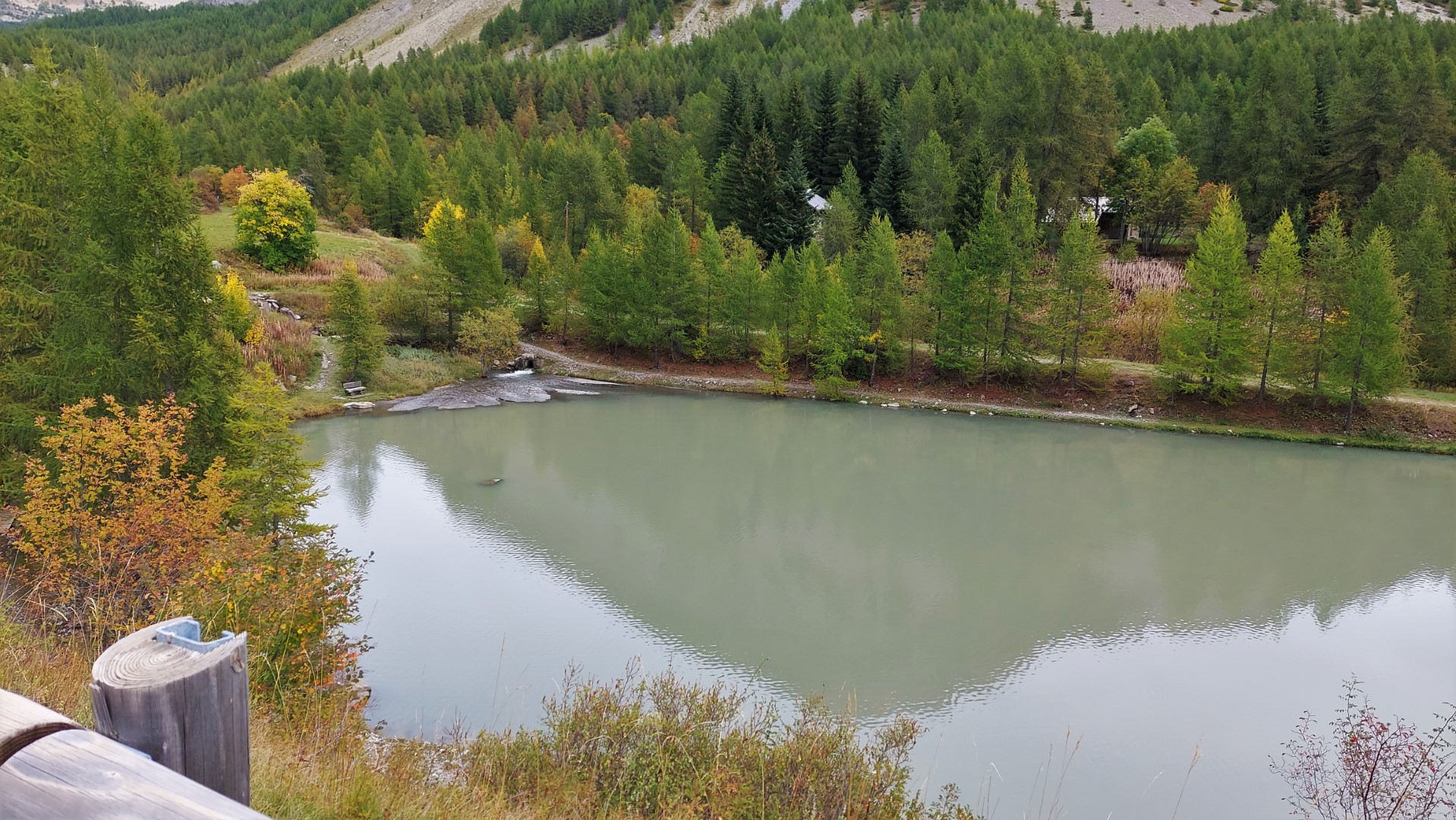 20211005_134909 (Grand)