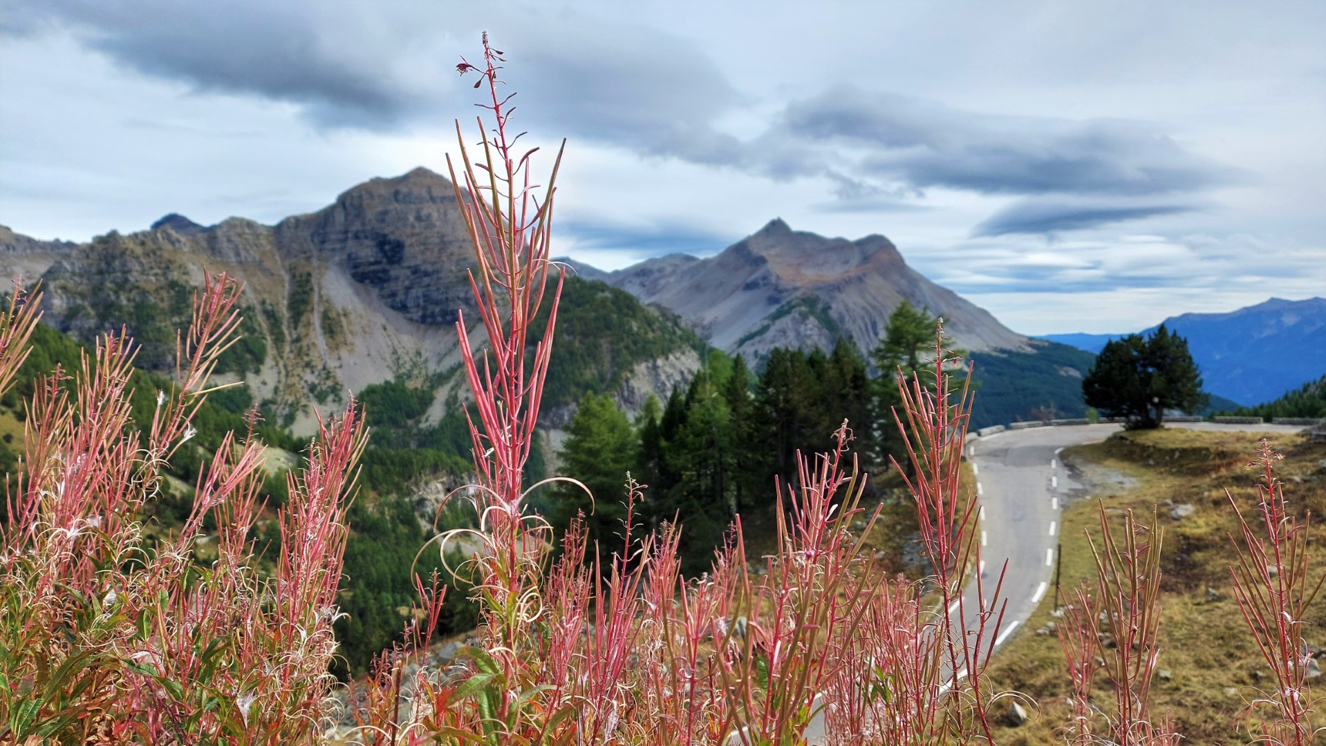 20211005_151400 (Grand)