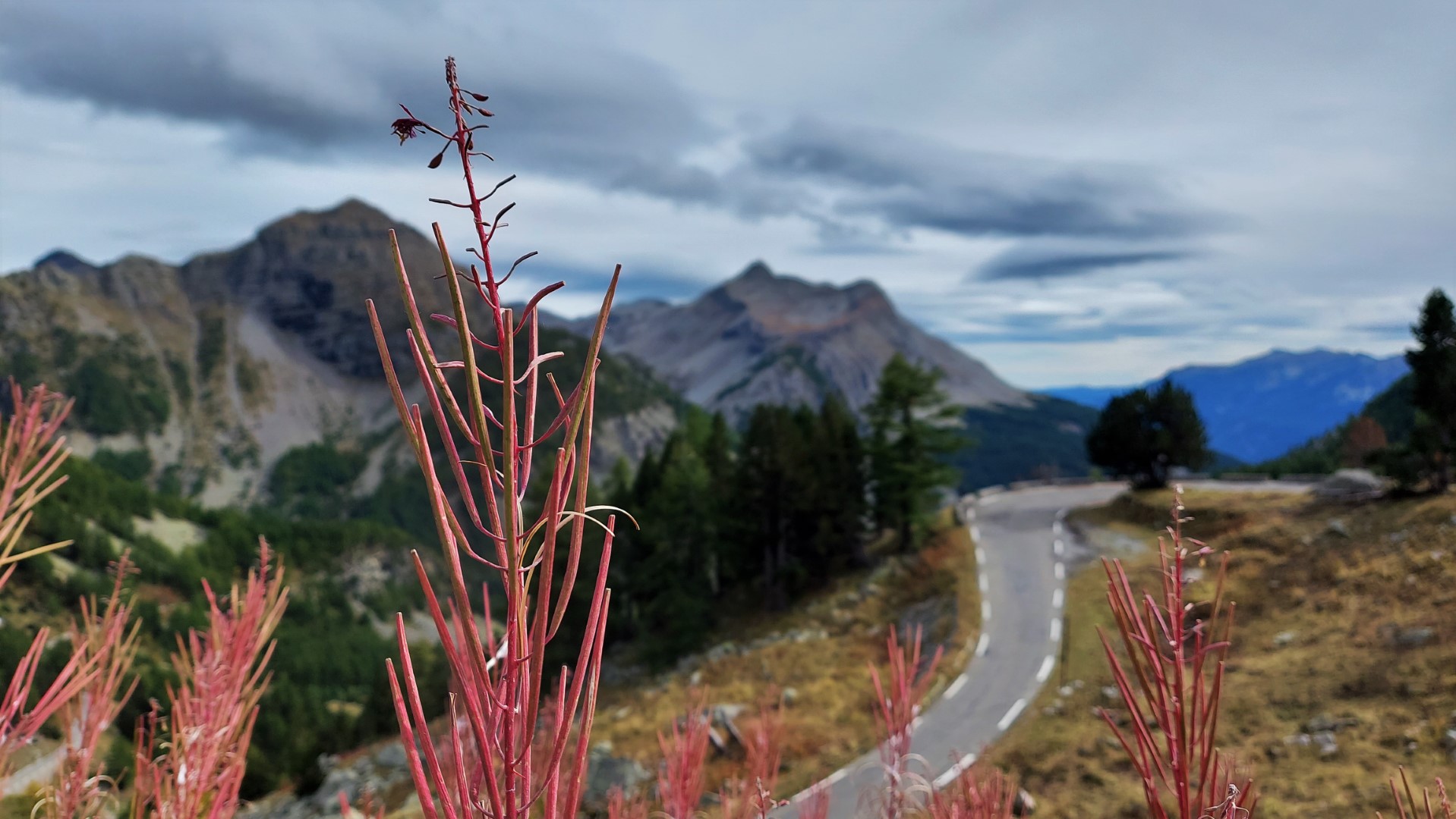 20211005_151410 (Grand)