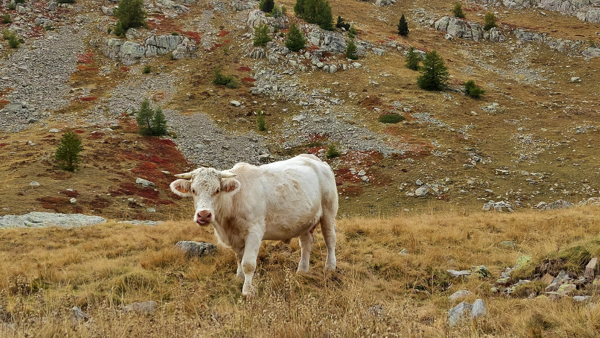 20211005_152857 (Grand)