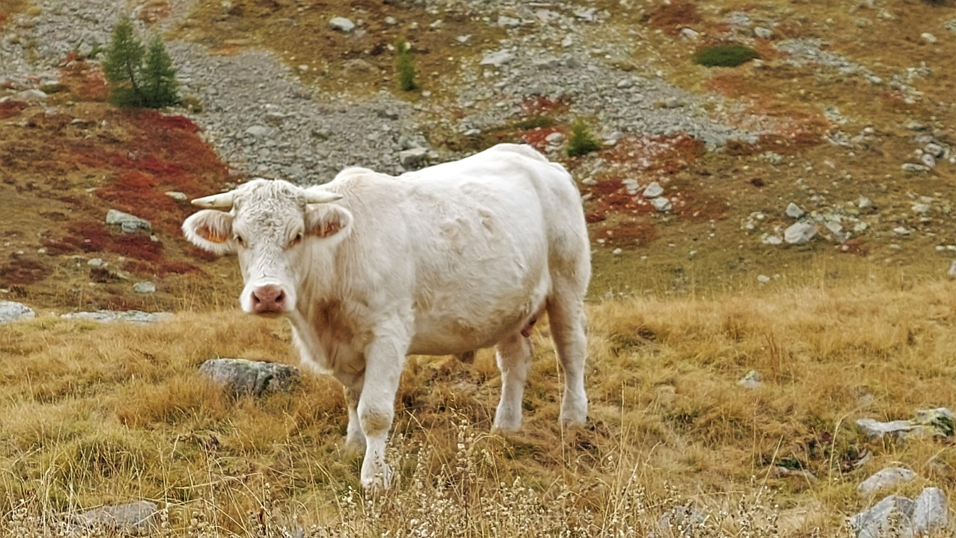 20211005_152907 (Grand)