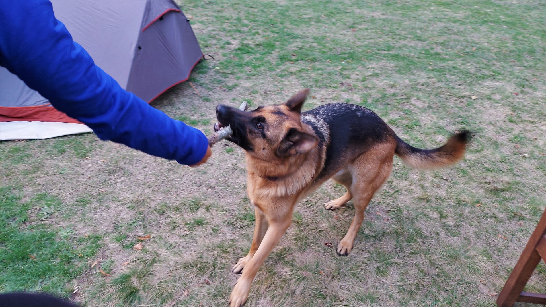 20211005_185026 (Grand)