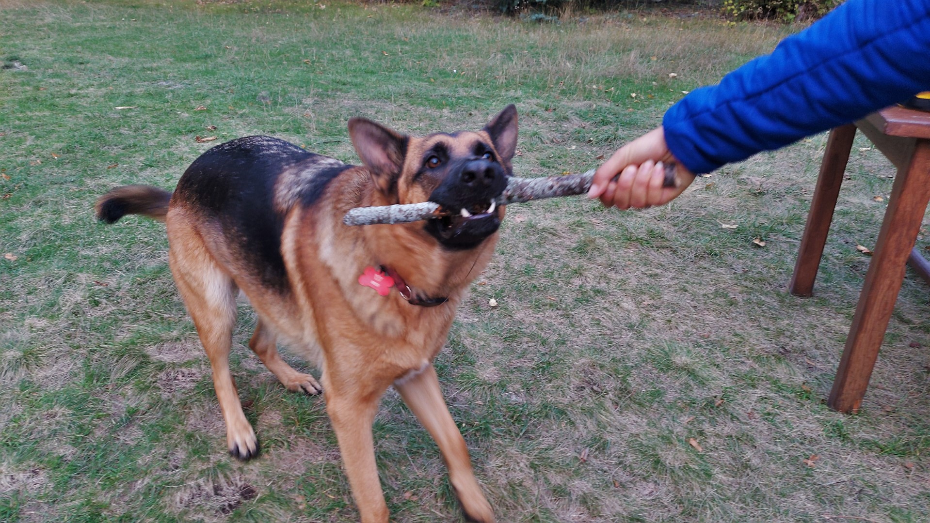 20211005_185033 (Grand)