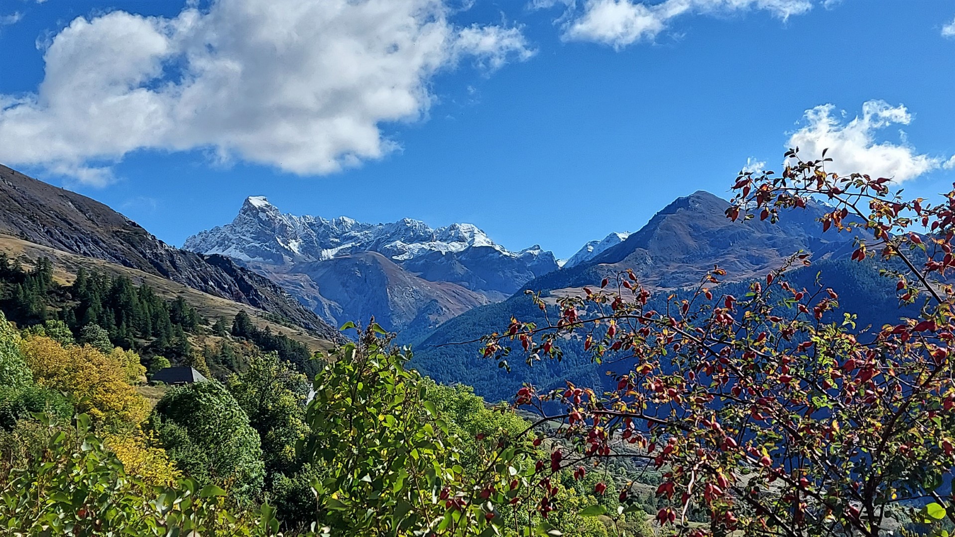 20211006_113823 (Grand)