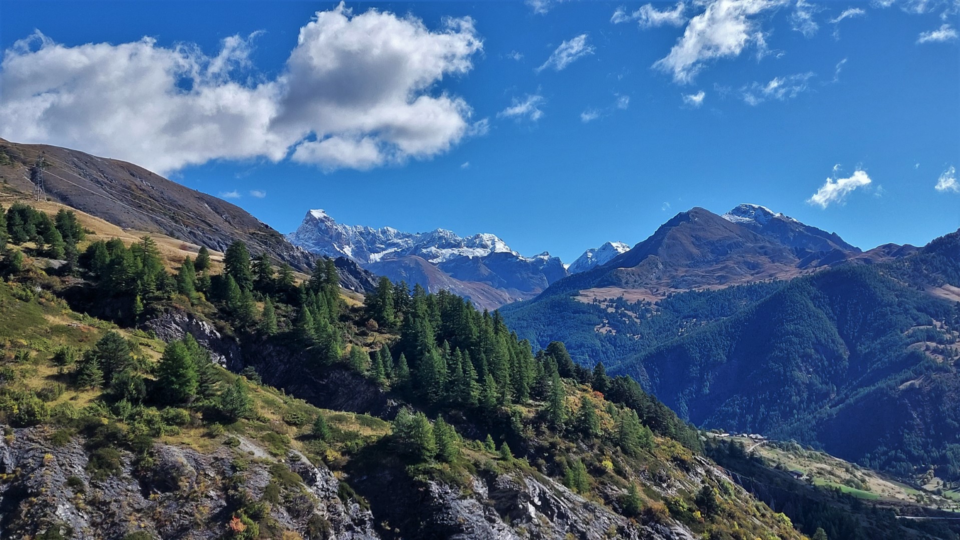 20211006_114617 (Grand)