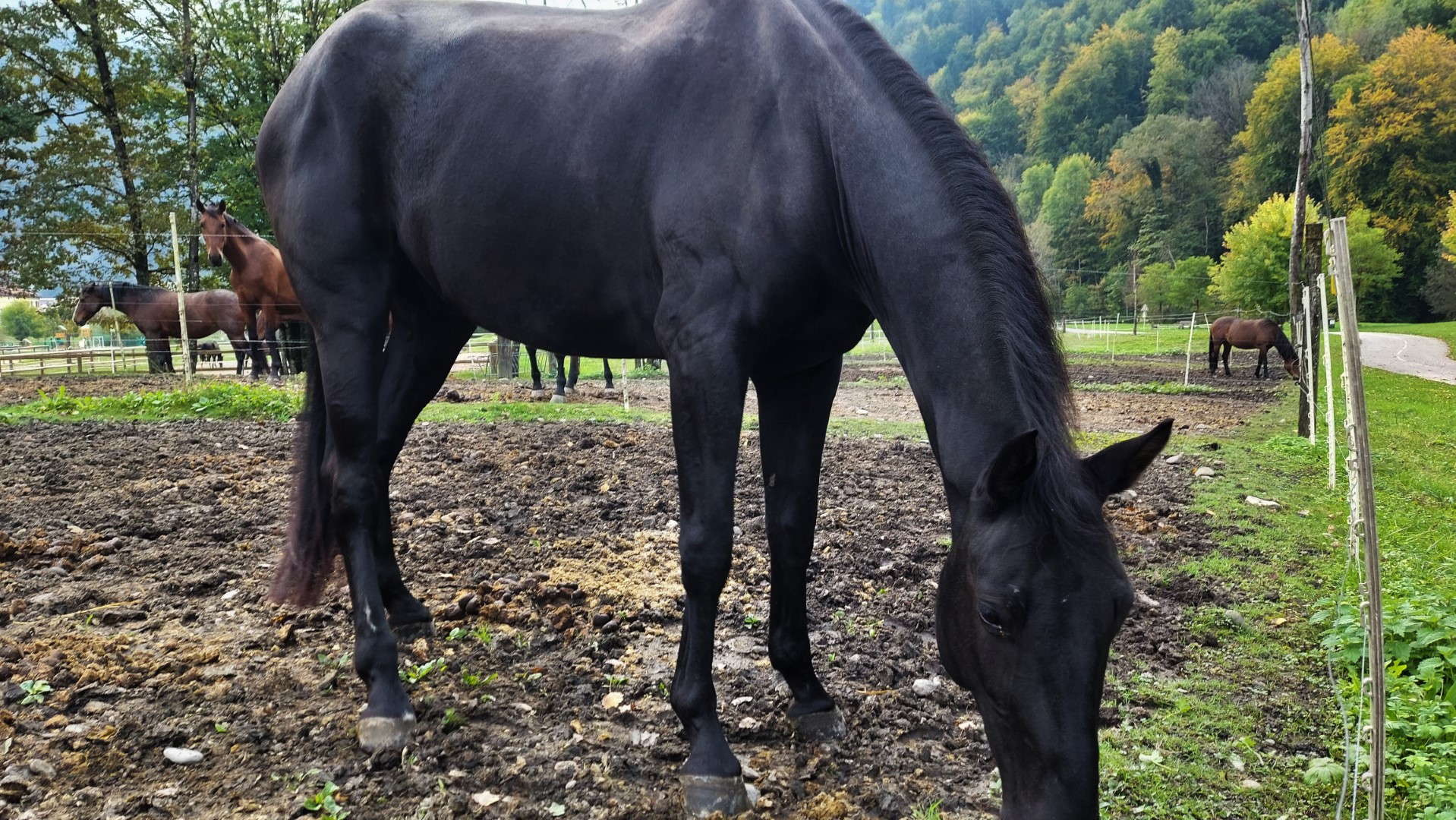 20211010_093619 (Grand)