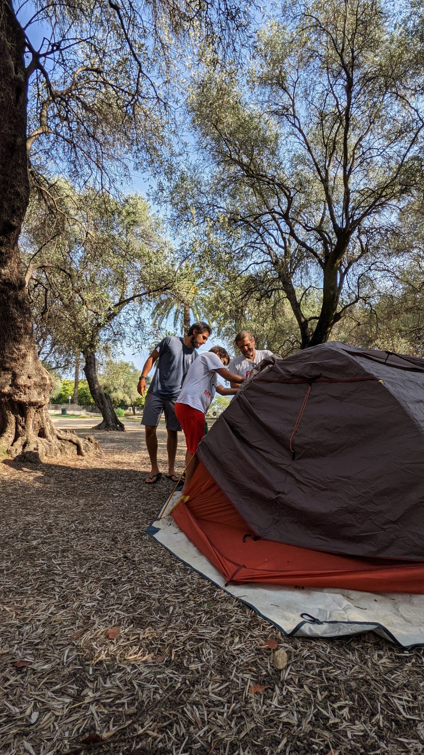 PXL_20210928_133127404