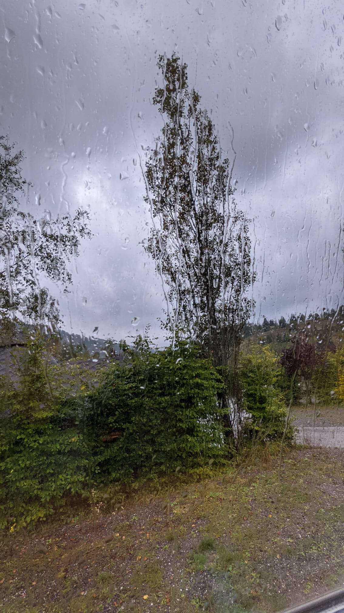 WhatsApp Image 2021-10-07 at 14.47.46