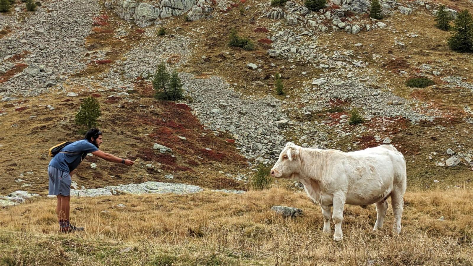 WhatsApp Image 2021-10-07 at 18.38.38