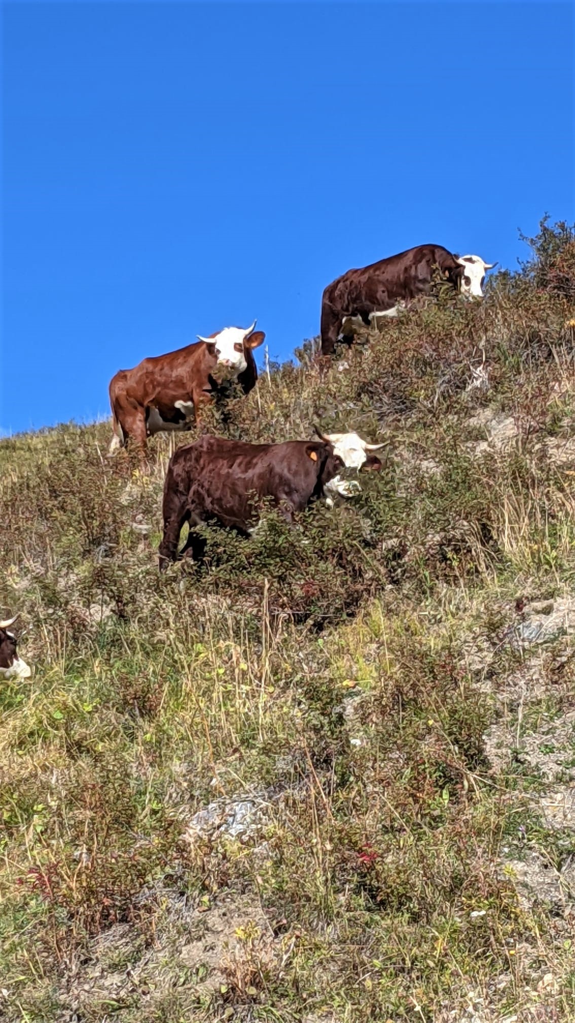 WhatsApp Image 2021-10-09 at 07.23.04 (3)